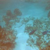  Lighthouse Reef, Belize